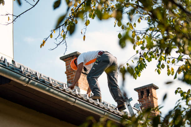 Best Rubber Roofing (EPDM, TPO)  in Buckhall, VA