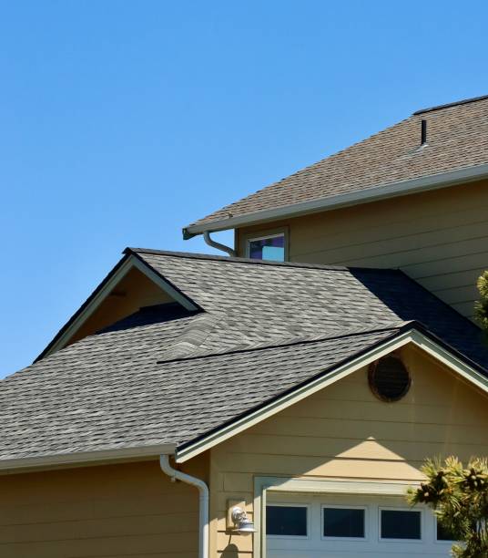 Best Sheet Metal Roofing  in Buckhall, VA